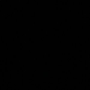 Meet your Posher, Ariana